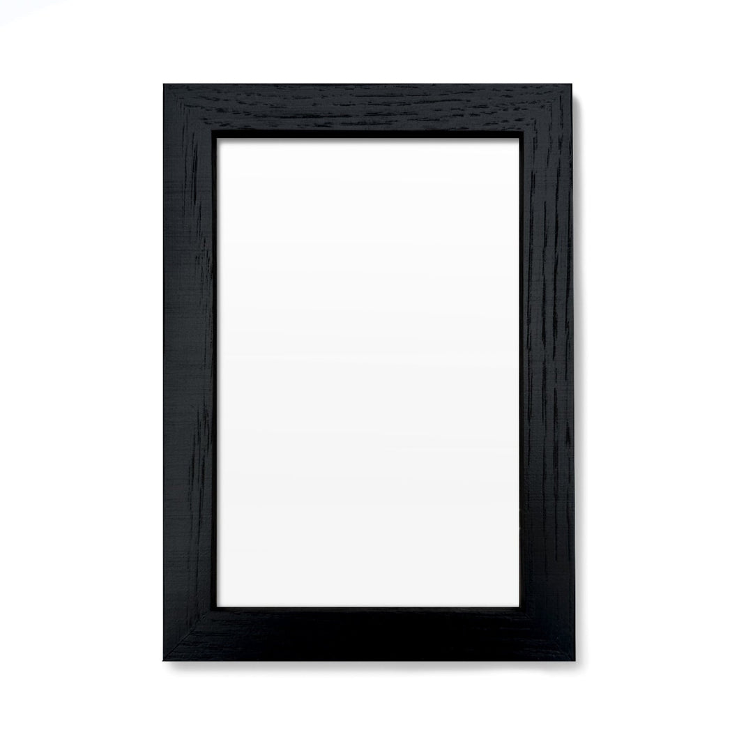 Mini Print 4"x6" Frames