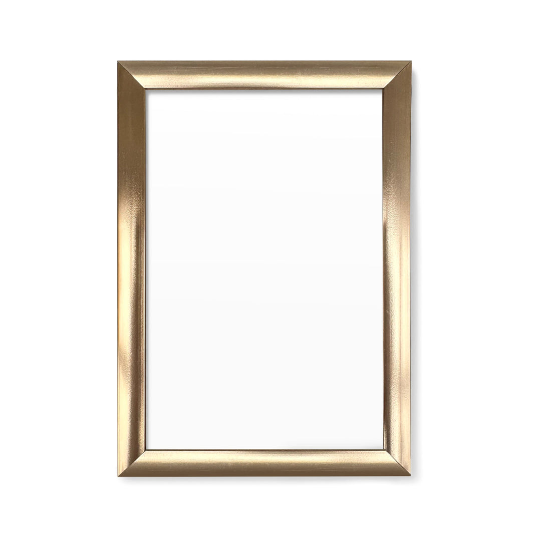 Mini Print 4"x6" Frames