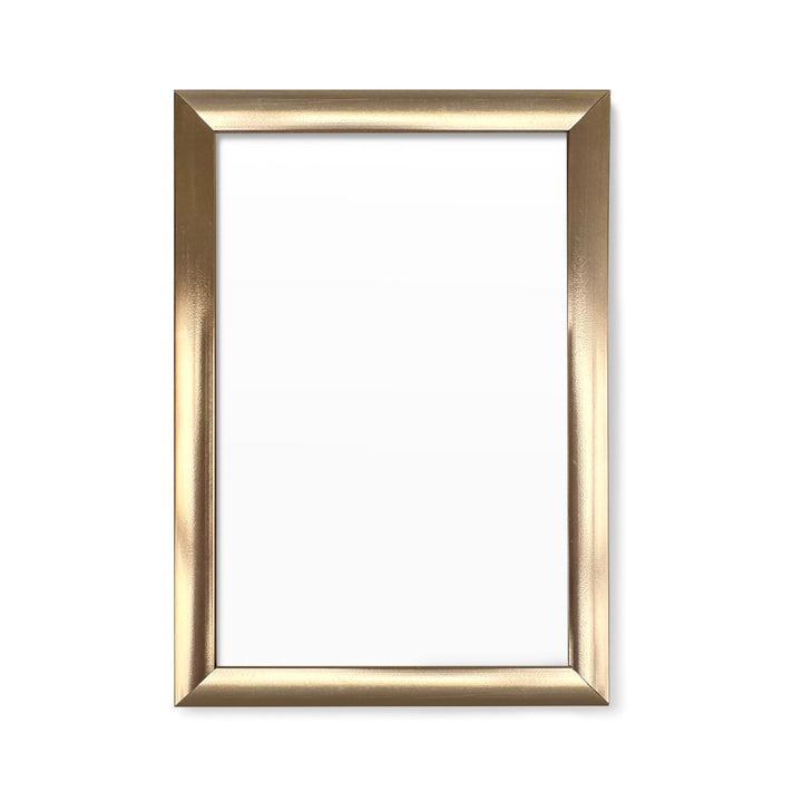 Mini Print 4"x6" Frames